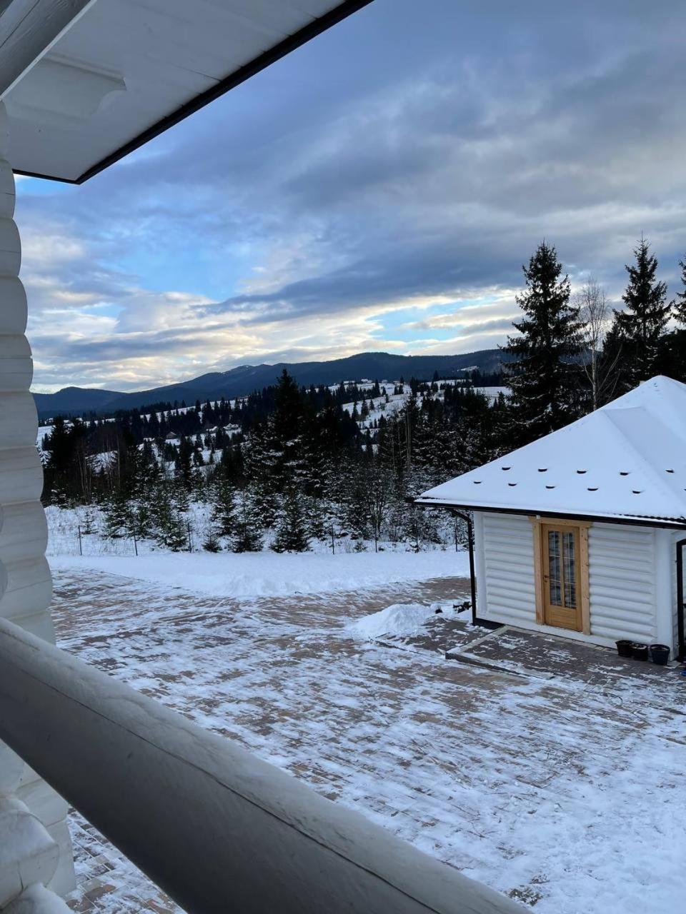 Horizon Apartmens Apartment Yablunytsya