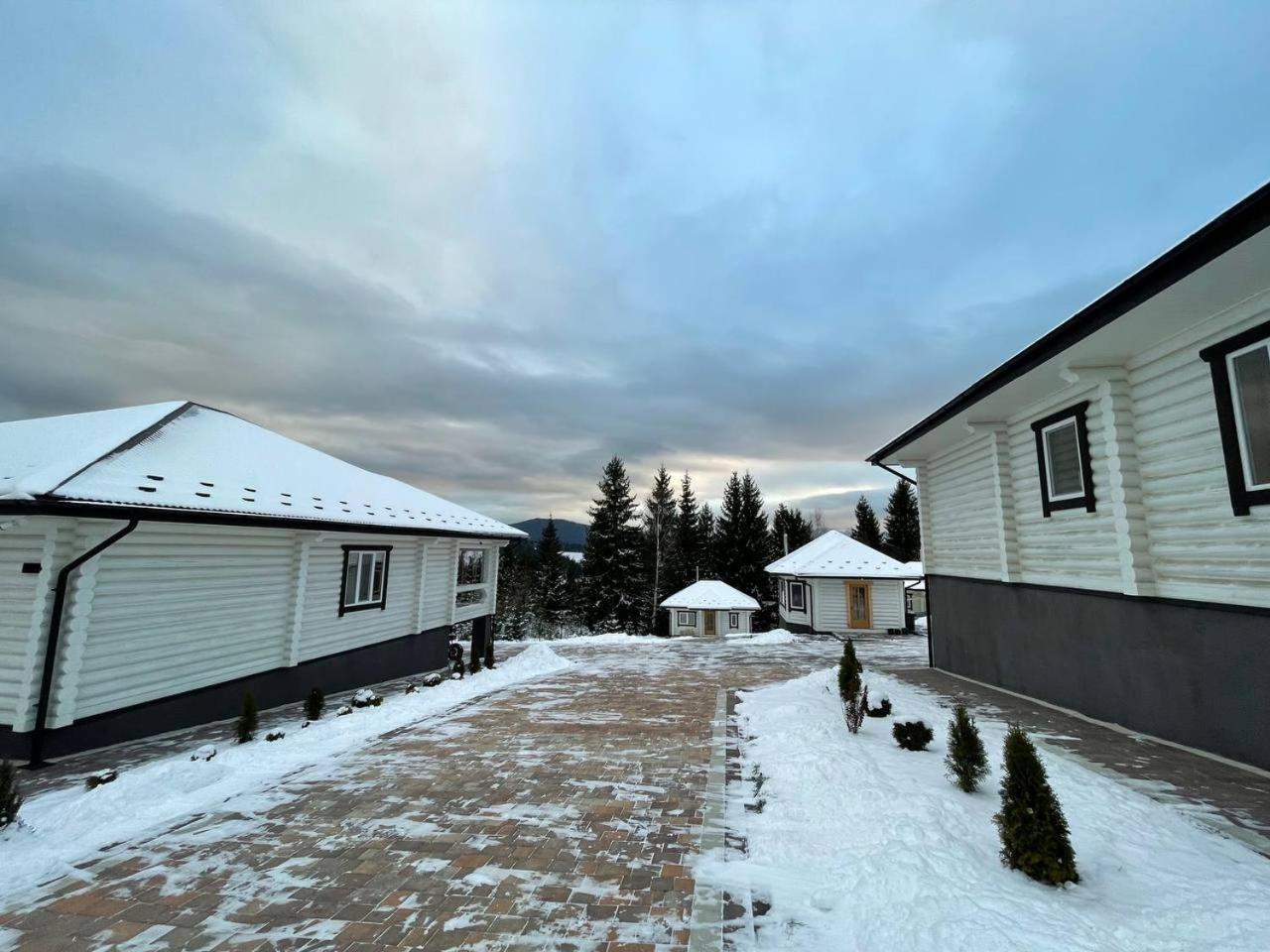 Apartment Horizon Apartmens Yablunytsya